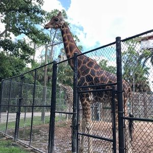 Meet your Posher, Gabriela